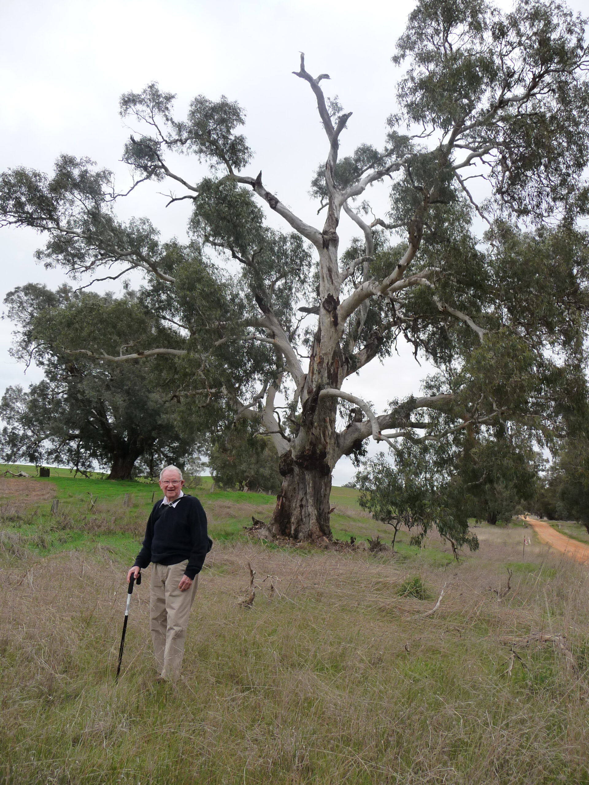 Alvyn Melville Wemyss