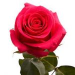 Funeral Notice of Mary Philomena ‘May’  REILLY