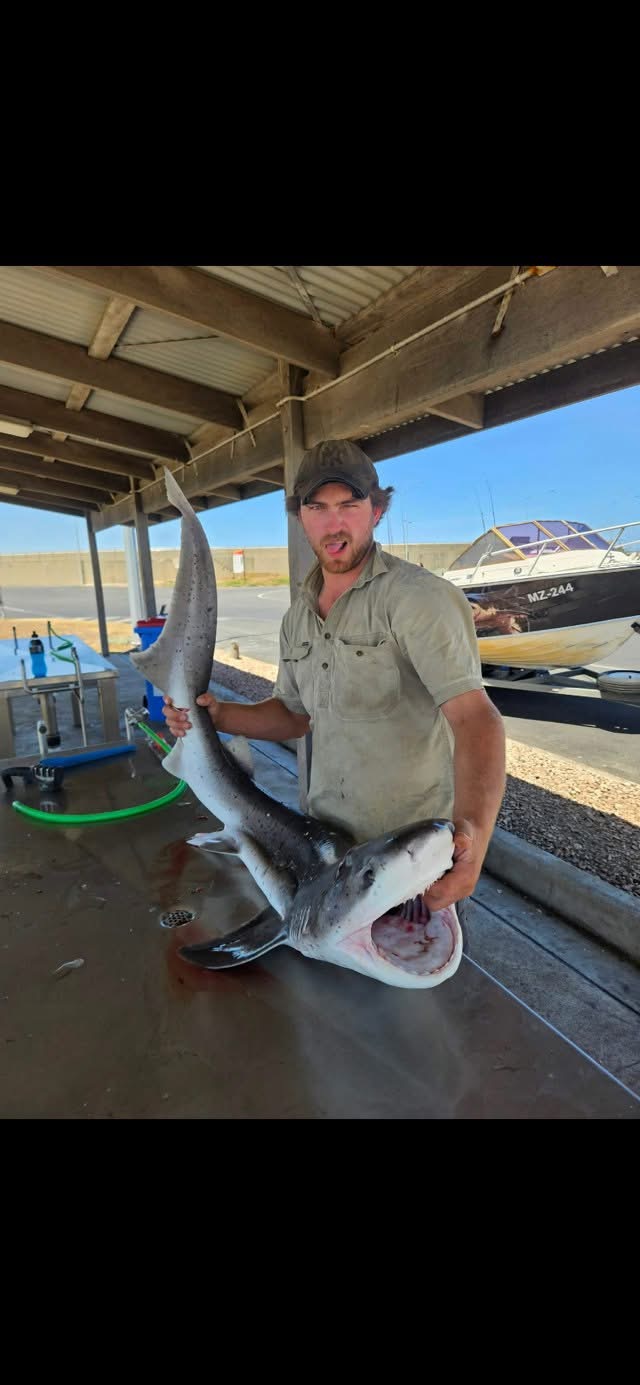 James David Anderson