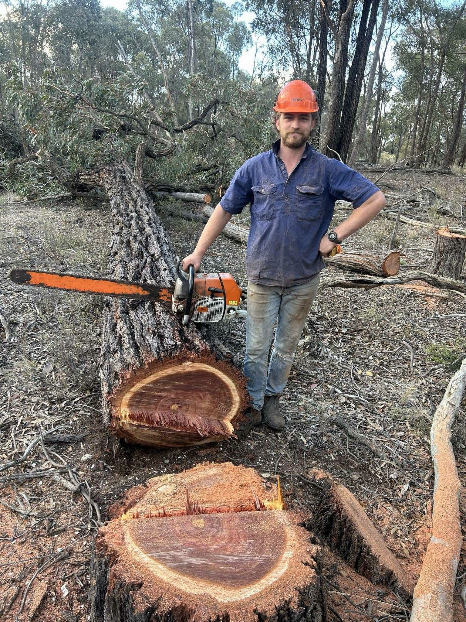 James David Anderson